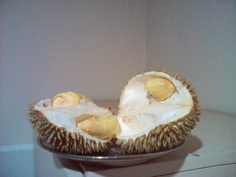 Durian!