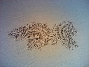 Arte di granchi sulla spiaggia