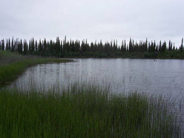 Lake 280