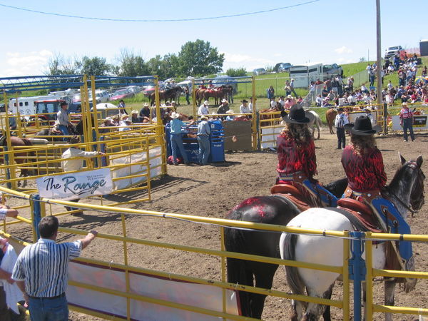 Airdrie Rodeo