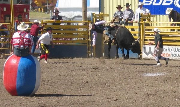 Airdrie Rodeo