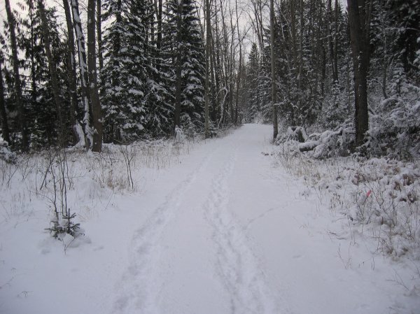 Old Stumpy Trail