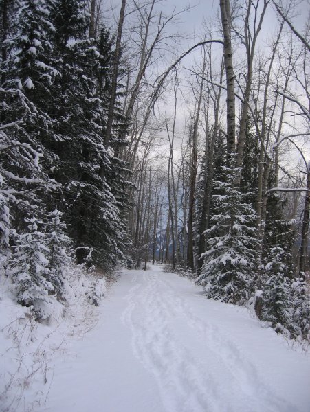 Old Stumpy trail