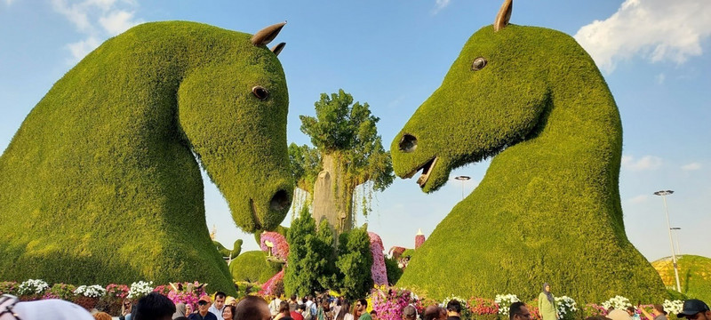 Two horses welcoming to the Miracle Garden