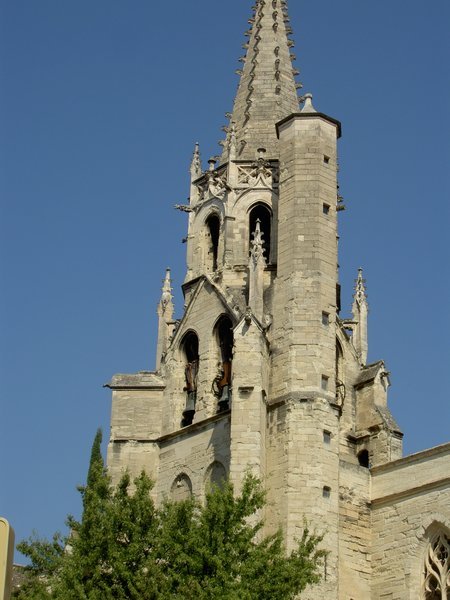 The Cathedral of Avignon