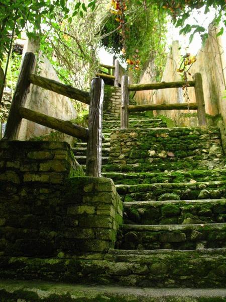 Moss-Covered Staircase