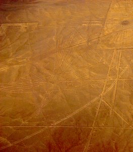 'Condor' in Nazca