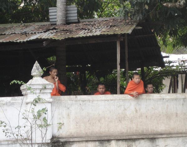 Novice Monks