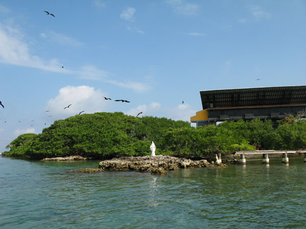 frigate bird reserve isla