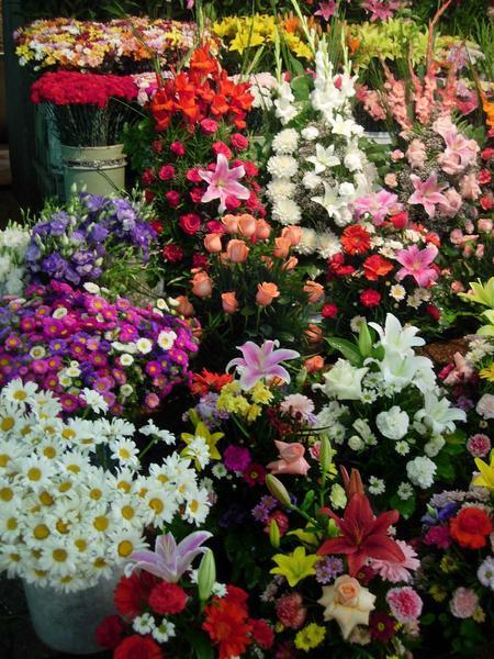 Flower  Market