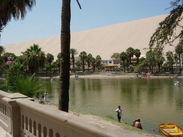 Oasis in the middle of the desert