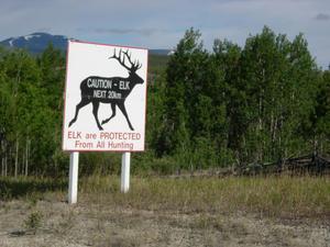 Alaska Wildlife Warning!