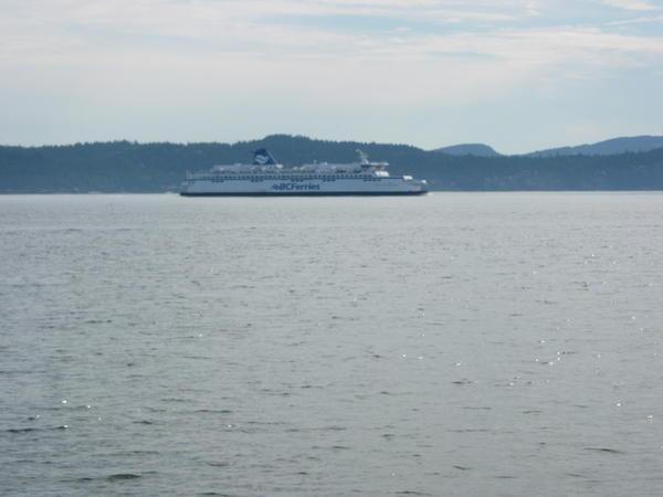 One of many, v fast ferries