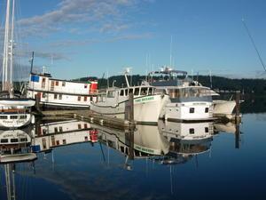 Reflections at the Marina, Poulsbo