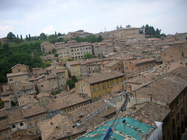 Palazzo Views