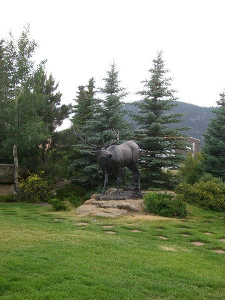 Random elk (deer?) statue at the entrance to town