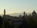 View above Florence