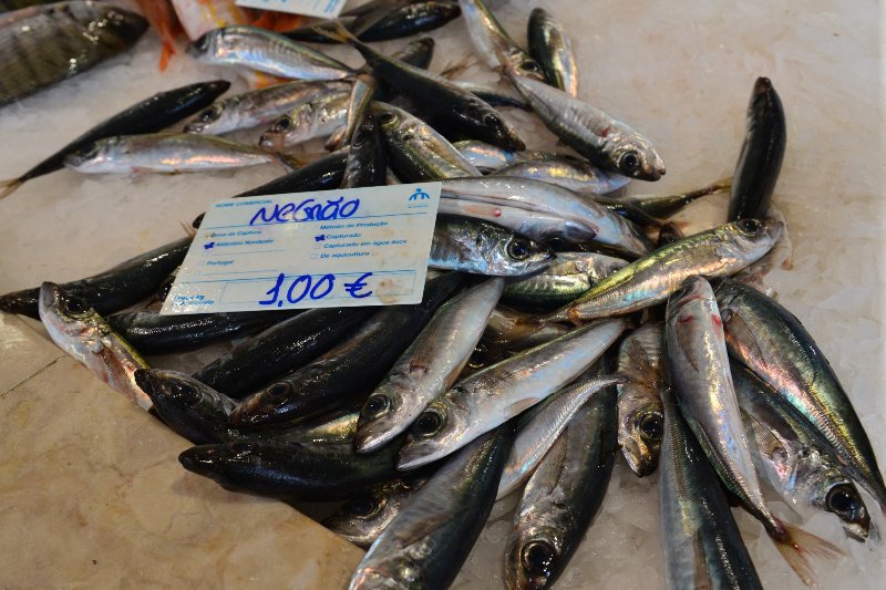 Fish market in lagos