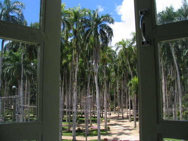 Paramaribo 