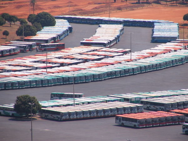 Lots of buses