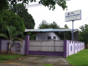 The Purple House