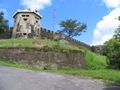 The fort