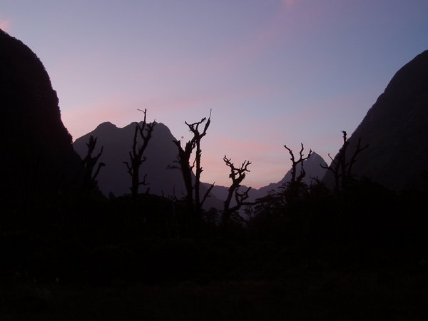 just after sunset in milford sound