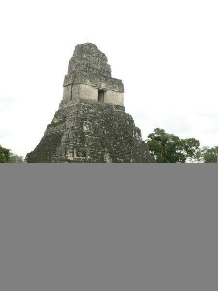 Tikal, guatemala