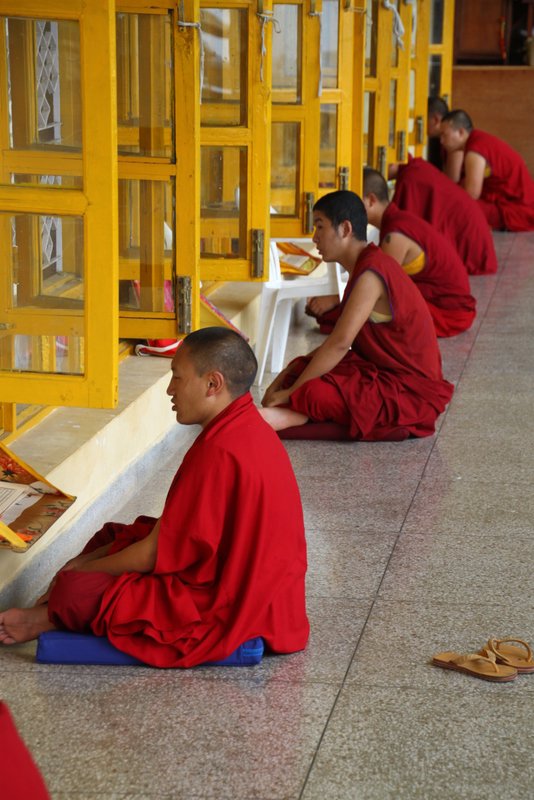 Monks reading in Temple