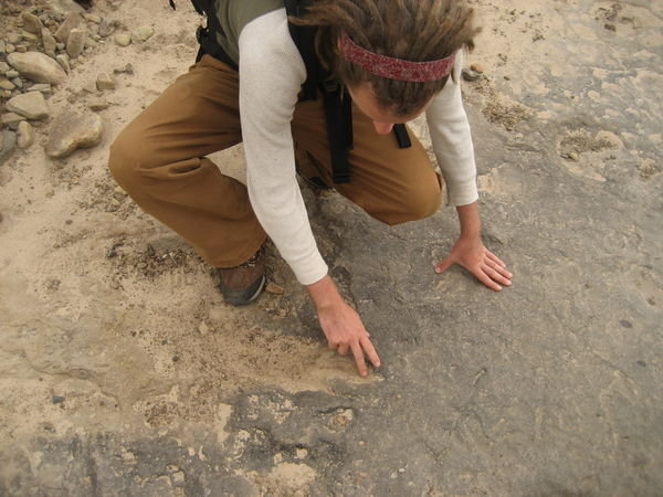 Dr M. Pruce, Archeologist