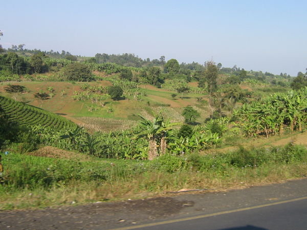 Southern Tanzanian landscape