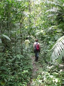 Hiking in the jungle