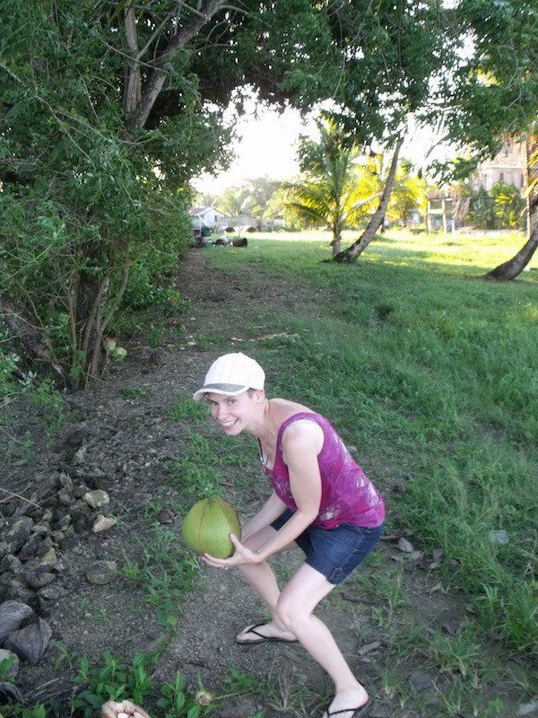 Sara found a coconut