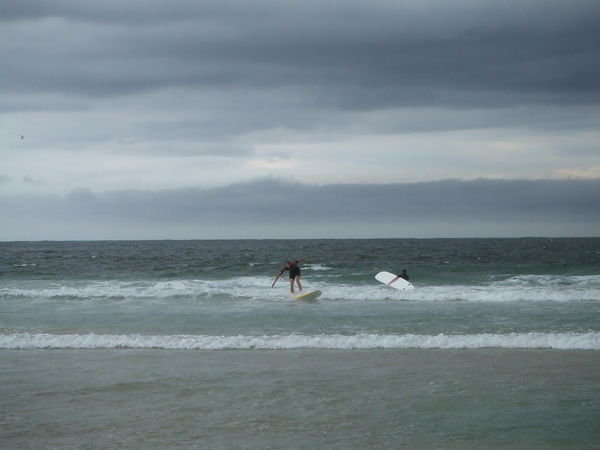 Surfing, Sydney