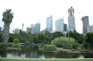 Botanical Gardens, Sydney