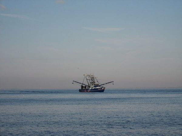 Fishing Boat off the Coast