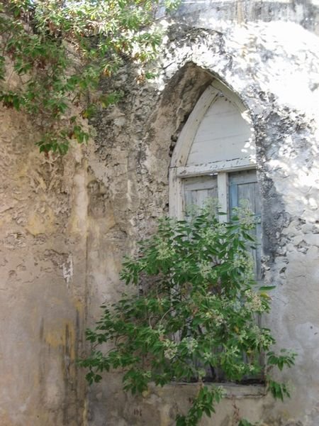 Nature taking over in Old Mission Church