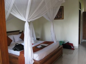 Our Hotel in Ubud