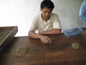  Male Coffee Beans