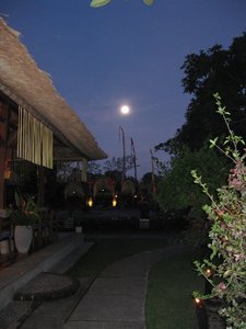 Full Moon over Ubud