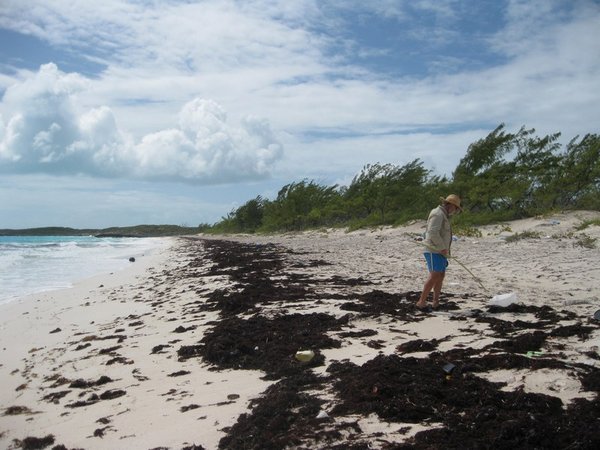 Treasure hunting at Hawksbill Cay