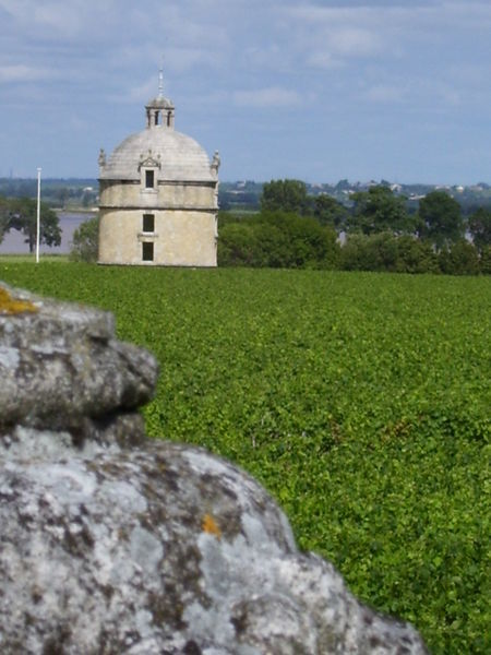 Vinyards and a chateau