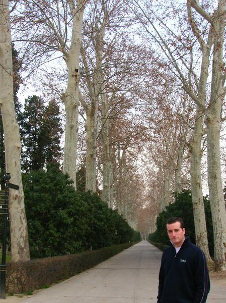 Dan in the Royal Gardens