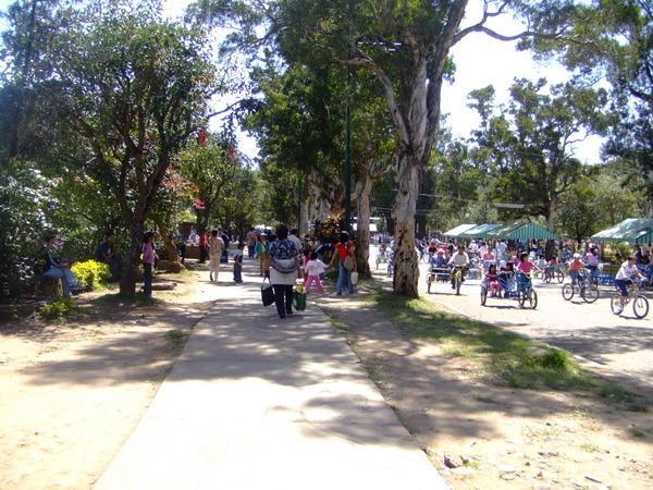 Baguio- the park