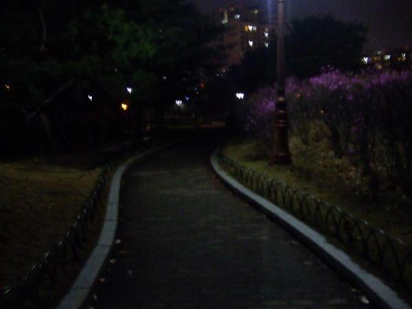 A romantic path