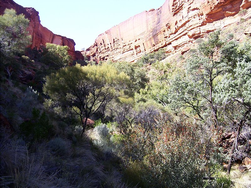 Looking into the Canyon 2 
