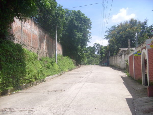 Main road in Las Delicias