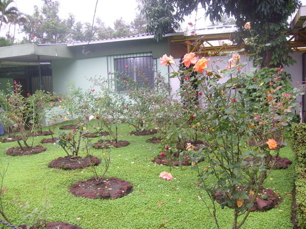 Rose Garden at UCA