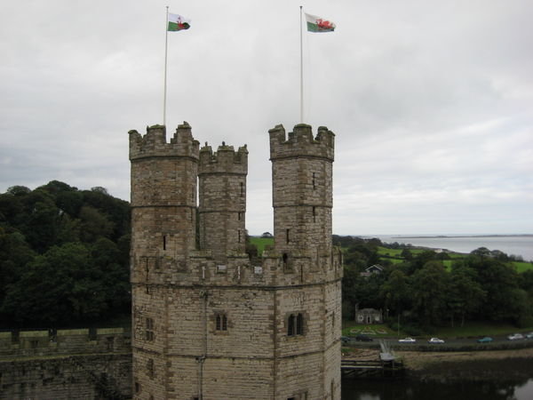 Two Welsh Flags