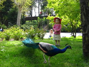 Camille and Peacock